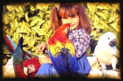 Alexia et ses perroquets